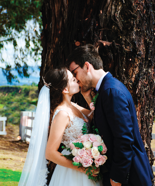 Wedding Planner Wedding Planner